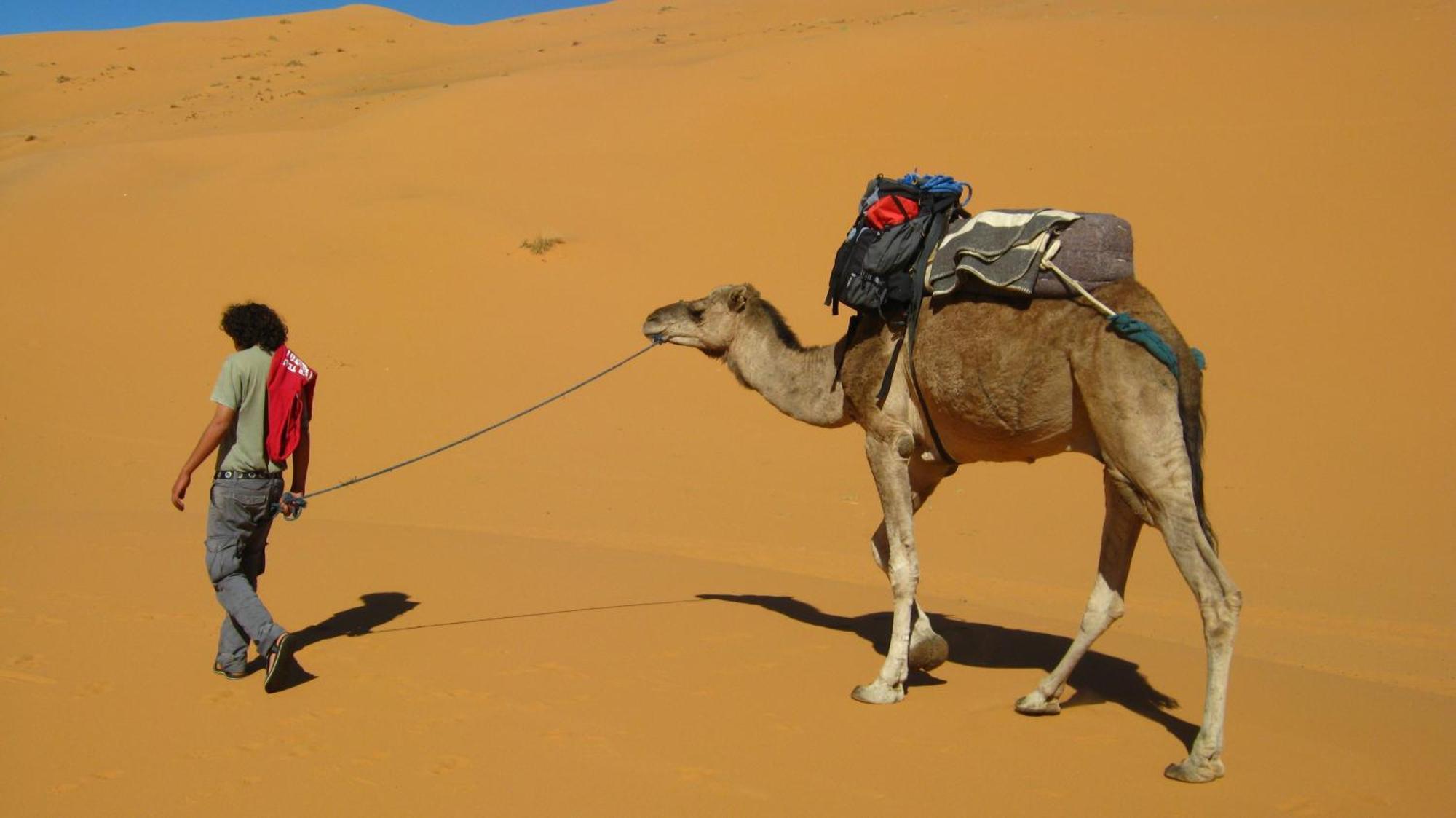Auberge Camping Ocean Des Dunes Merzouga Exterior foto