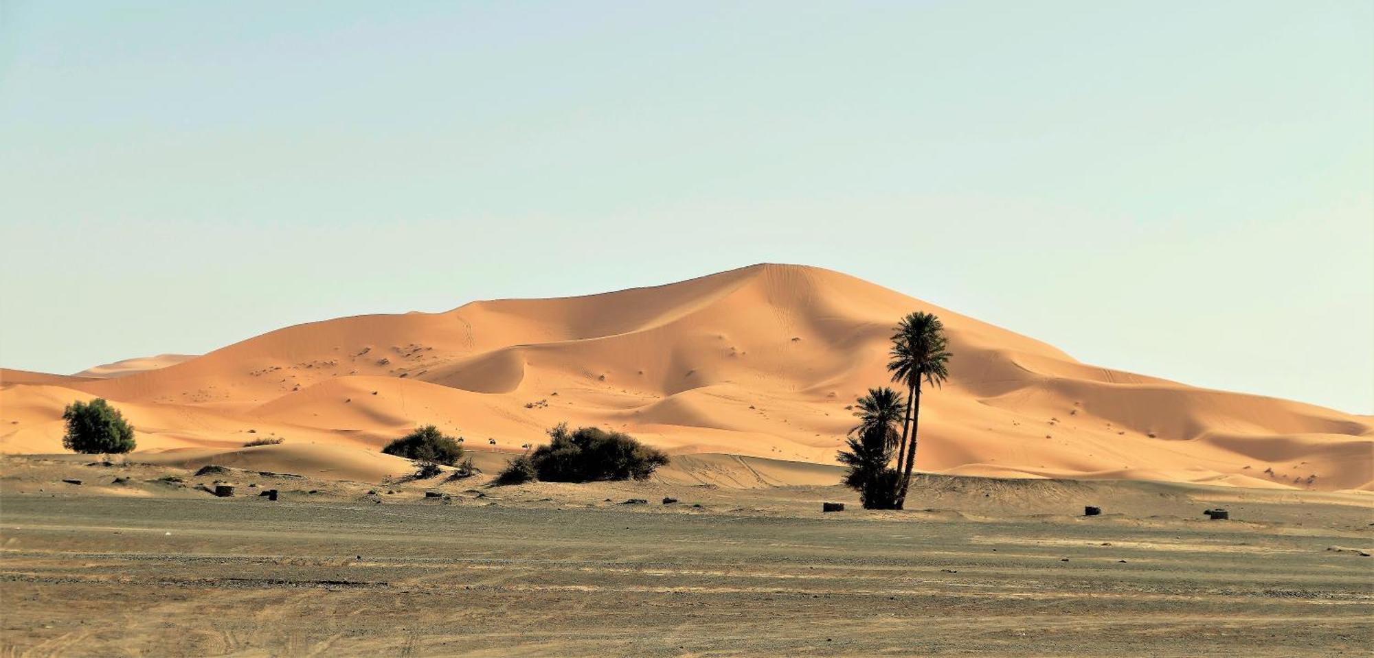 Auberge Camping Ocean Des Dunes Merzouga Exterior foto